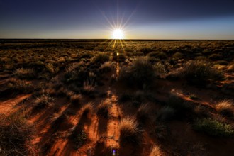 Sunrise over the Simpson Desert with golden rays, Simpson Desert, Australia