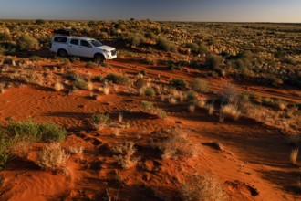 Four-wheel drive vehicle on sandy track in the vast Simpson Desert, Simpson Desert, Australia