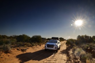 4WD vehicle at sunrise on a desert track in the Simpson Desert, Simpson Desert, Australia