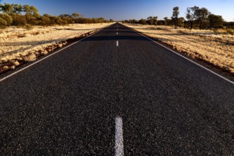Lonely and straight desert road under clear blue sky with sparse vegetation, Stuart Hwy, Northern