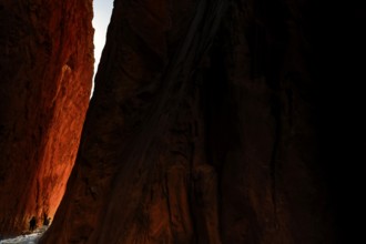 Sunlight falls on the red rocks of Standley Chasm in a dramatic scene, Standley Chasm, Northern