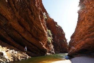 Narrow canyon of red rock with water and rays of sunlight, Simpson Gap, Northern Territory,