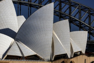 Detailed close-up of the Sydney Opera House façade in front of the bridge, Sydney, New South Wales,