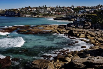 Tamarama Point with rocky shores and clear waves off coast occupied by houses, Sydney, New South