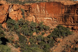 View of red rocks and vegetation in Kings Canyon of Watarrka National Park, Watarrka National Park,