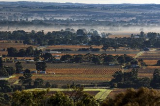 Extensive landscape with vineyards seen from Mengler's Hill Lookout, Mengler's Hill Lookout,
