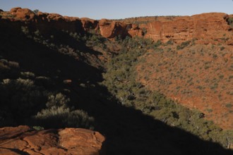 View of Kings Canyon with shady rocks and vegetation, Watarrka National Park, Northern Territory,