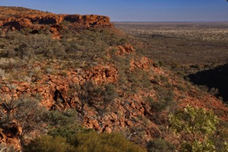 Dramatic red sandstone cliffs in Watarrka National Park with sweeping views across the desert,