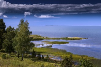 Üügu Pank cliff overlooking the wide, calm sea, Muhu, Estonia