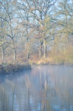 A misty river reflects trees, calm, autumnal atmosphere, peaceful scenery, river landscape with