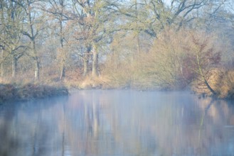 A misty river reflects trees, calm, autumnal atmosphere, peaceful scenery, river landscape with