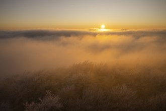 Beech forests at sunset with hoarfrost, view westwards of the crest of the Teutoburg Forest, after