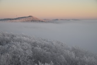 Snowy range of hills with frosty trees in the morning light, Hermannsweg an der Steinegge, Dissen