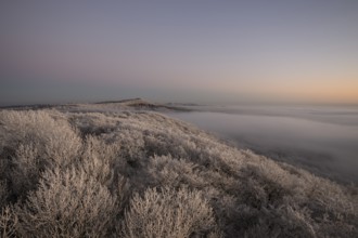 Snowy hills and valleys with soft pastel shades in fog at sunset in the Teutoburg Forest, Steinegge