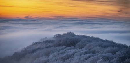 Hill at sunset surrounded by fog and frosty, snowy forest in the Teutoburg Forest, Steinegge