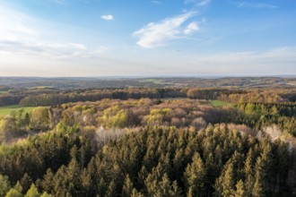 Wide forest landscape with coloured treetops under blue sky in evening light, Osnabrücker Land,