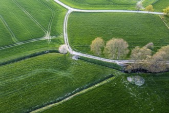 Positive oblique aerial image of agricultural land and trees in special light with glowing shades