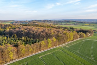 Wide landscape with forests and green fields under blue sky in spring, oblique aerial view,