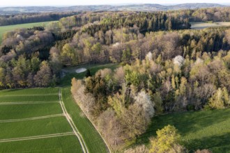 Natural landscape with green fields and trees surrounded by thick forests, angled aerial view,