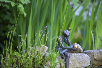 Garden sculpture of a frog frog prince surrounded by green plants and stones. Lower Saxony, Germany