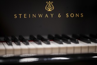 Lettering and keyboard, Steinway & Sons grand piano, Stuttgart, Baden-Württemberg, Germany