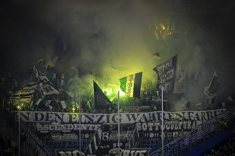 Fan block, fans, fan curve, flags, atmosphere, atmospheric Bengalo, pyrotechnics, pyro, fireworks,