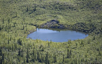 Lake and taiga landscape on the edge of the glacial moraine of the Matanuska Glacier, Lion's Head,