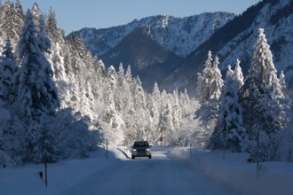 Winter landscape, spruces, mountains, road, car, snow, Alpine foothills, Oberbayern,
