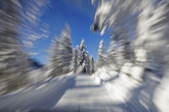 Driving on winter road, road traffic, Oberbayern, Germany/driving in winter, Upper Bavaria, Germany