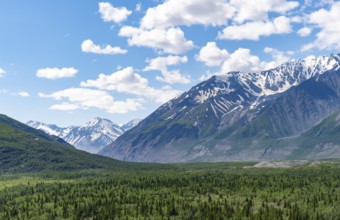 Mountain peak with snow and taiga, Alaska Range, Richardson Highway, Alaska, USA