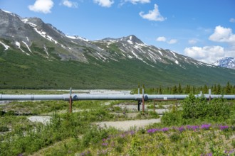 Alaska Pipeline Oil Pipeline, Alaska Range, Richardson Highway, Alaska, USA