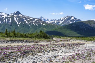 Miller Creek River at Castner Glacier, Delta Range, Alaska Range, Richardson Highway, Alaska, USA