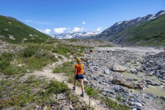 Tourist on a hiking trail along the Miller Creek River at Castner Glacier, Delta Range, Alaska