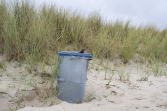 Single trash can on sandy beach in front of dune with oats, Baltic resort Göhren, Baltic Sea, Rügen