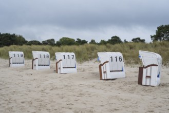 Beach chairs set up in a row on sandy beach, view from behind, Baltic resort Göhren, Baltic Sea,