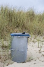 Single trash can on sandy beach in front of dune with oats, Baltic resort Göhren, Baltic Sea, Rügen