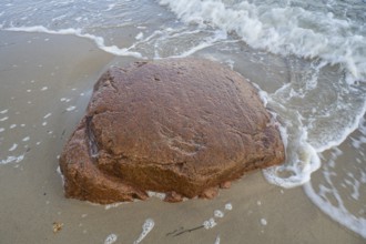 Foundling on the coast, washed by water, Baltic Sea, Rügen Island, Mecklenburg-Western Pomerania,