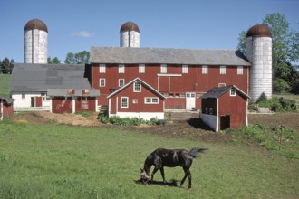 Dairy farm with silo towers, Marksborow, New Jesey, USA