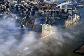 Elbe Philharmonic Hall, Seenebel, Elbe, Hafencity, aerial view