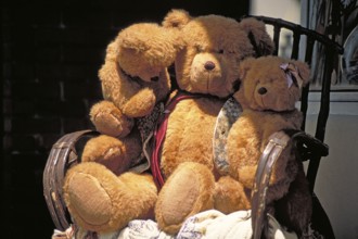 Teddy bears in a toy store, New York City, USA