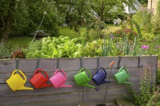 Colourful watering cans hang on wooden wall in a blooming garden with lush vegetation in a raised