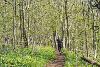 Woman running on a nature trail in a lush forest with budding leaves on the trees and flowering