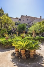 Arab baths garden in Palma de Mallorca with flowers and lush green plants by a garden path, Palma