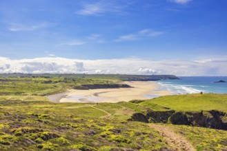 Scenics view at a natural sand beach from a flowering lush green moor with walking trails a sunny