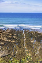 Rocky seashore in low tide with a seascape view to the horizon on a sunny summer day, Crozon