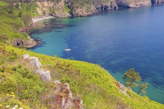 Flowering meadow on a steep rocky coast with turquoise water in the bay on a sunny summer day,