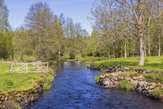 River with lush green budding trees in a meadow landscape on a beautiful sunny spring day in a
