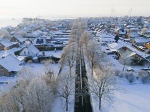 Snowy village with tree-lined avenue and snow-covered houses, aerial view, winter, hoarfrost,