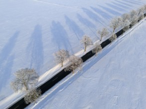 View of a snowy landscape with shady road and trees along the way, aerial view, winter, hoarfrost,