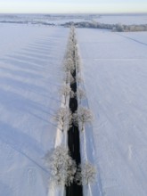 Straight road with trees and long shade in a snowy winter landscape, aerial view, winter,